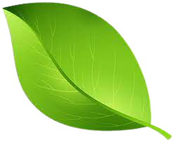 Leaf Icon